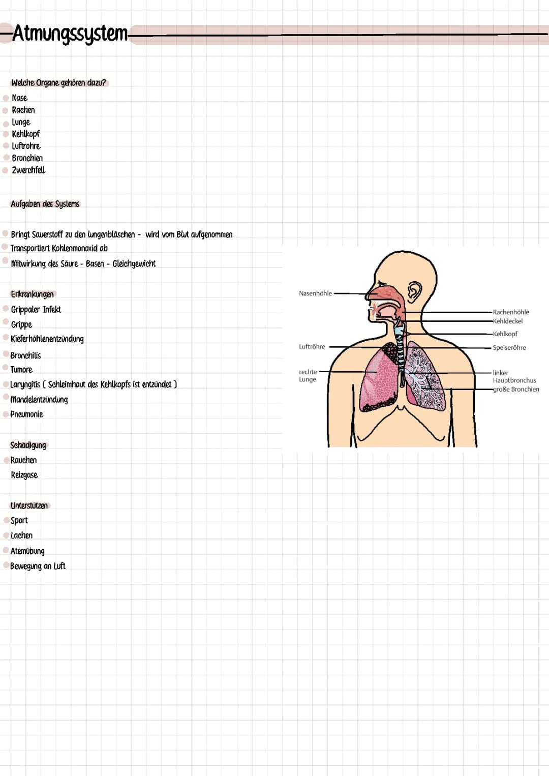 Syteme 