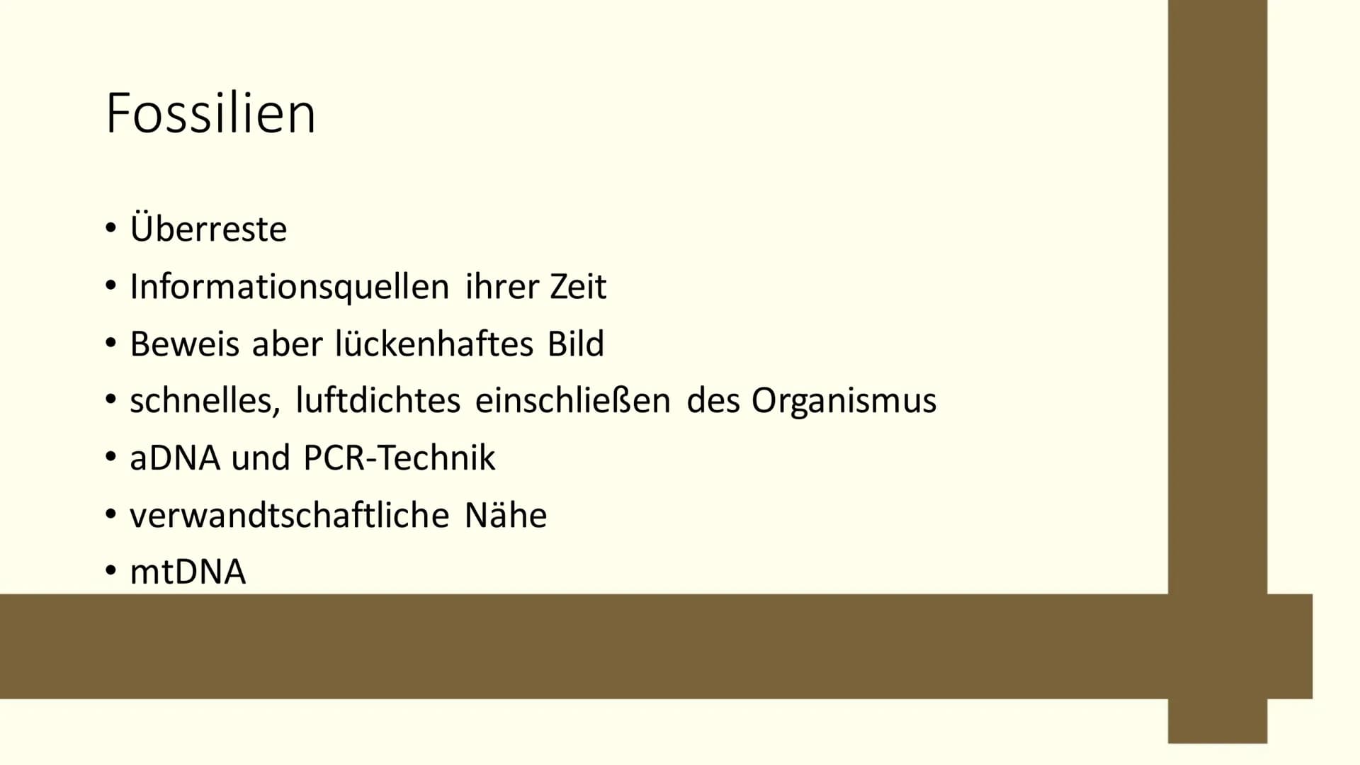 Paläontologie
Die Wissenschaft der vergangenen Erdzeitalter und dessen Überreste Bio Paläontologie Zusammenfassung:
Ich Paläontologie- was i