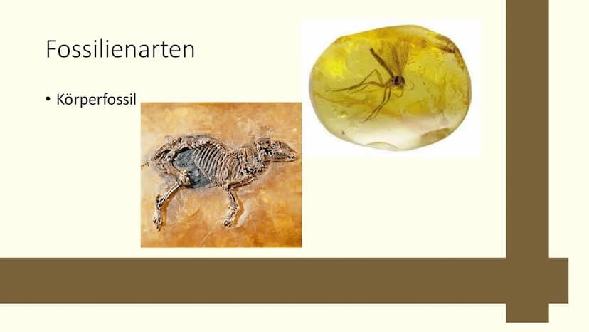 Paläontologie
Die Wissenschaft der vergangenen Erdzeitalter und dessen Überreste Bio Paläontologie Zusammenfassung:
Ich Paläontologie- was i