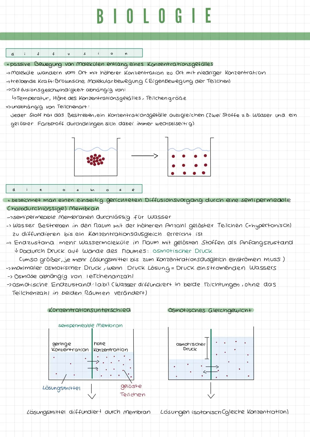 k
a
DIE TIERZELLE
r
Mikrotubuli
Mitochondrium
Zellmembran
Mikrofilamente
Ribosomen1
Golgi-Apparat
(Dictyosom)
DIE PFLANZENZELLE
Zellwand
Zel