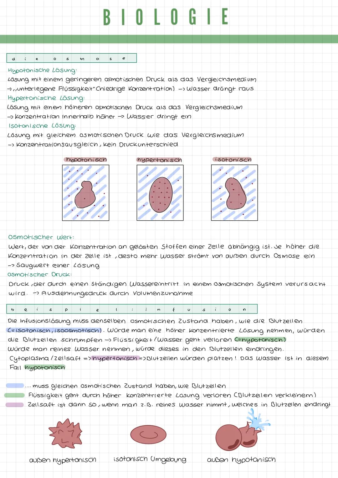k
a
DIE TIERZELLE
r
Mikrotubuli
Mitochondrium
Zellmembran
Mikrofilamente
Ribosomen1
Golgi-Apparat
(Dictyosom)
DIE PFLANZENZELLE
Zellwand
Zel