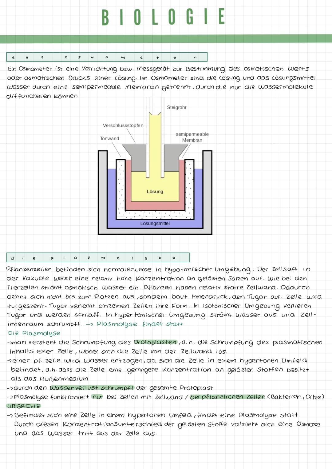 k
a
DIE TIERZELLE
r
Mikrotubuli
Mitochondrium
Zellmembran
Mikrofilamente
Ribosomen1
Golgi-Apparat
(Dictyosom)
DIE PFLANZENZELLE
Zellwand
Zel