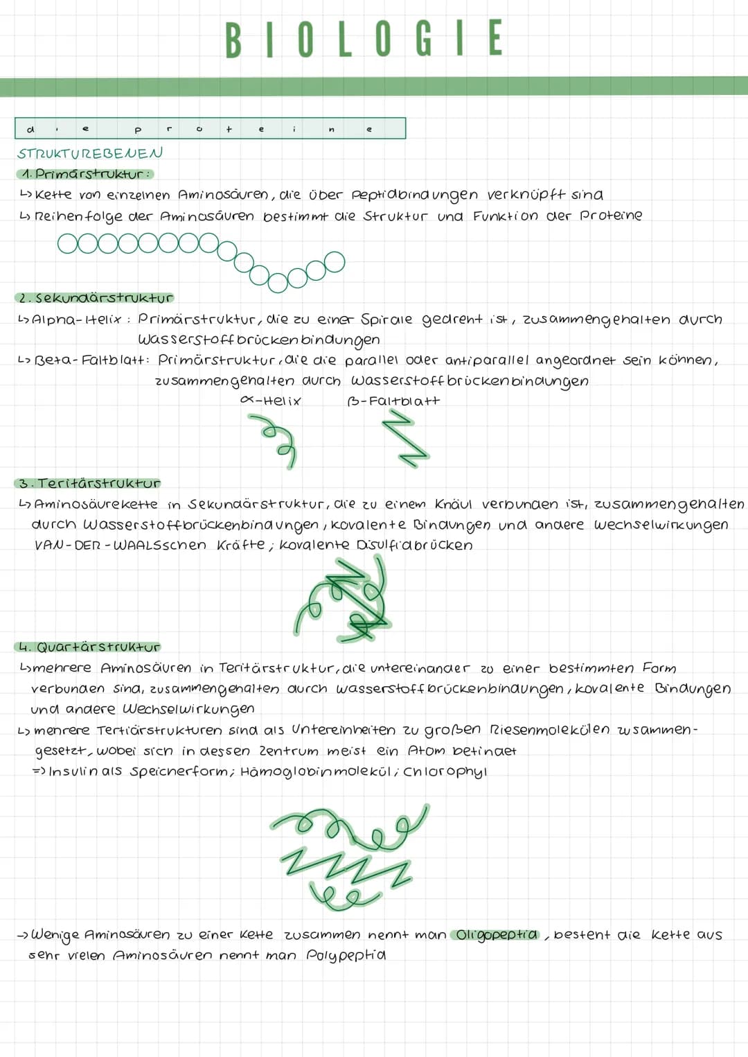 k
a
DIE TIERZELLE
r
Mikrotubuli
Mitochondrium
Zellmembran
Mikrofilamente
Ribosomen1
Golgi-Apparat
(Dictyosom)
DIE PFLANZENZELLE
Zellwand
Zel
