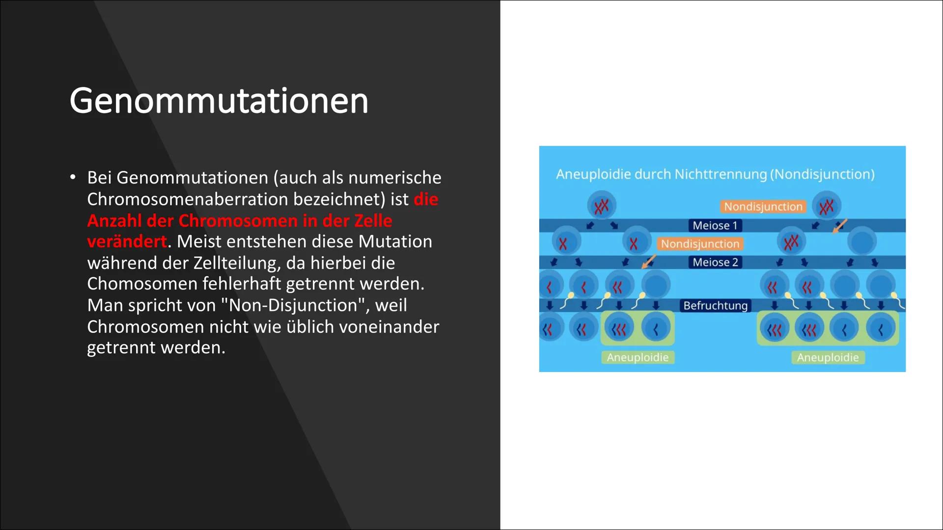 Erbkrankheiten Gliederung
• Was sind Erbkrankheiten?
Wie entstehen sie?
• Arten der Mutation
●
●
●
Die drei Unterteilungen der
Erbkrankheite
