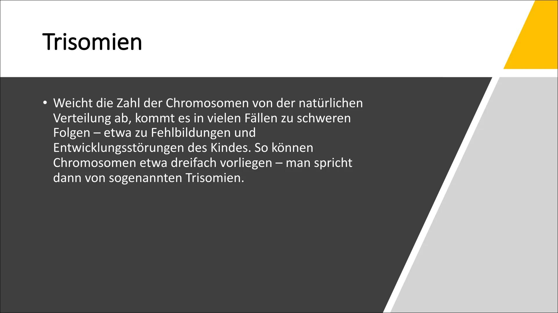 Erbkrankheiten Gliederung
• Was sind Erbkrankheiten?
Wie entstehen sie?
• Arten der Mutation
●
●
●
Die drei Unterteilungen der
Erbkrankheite