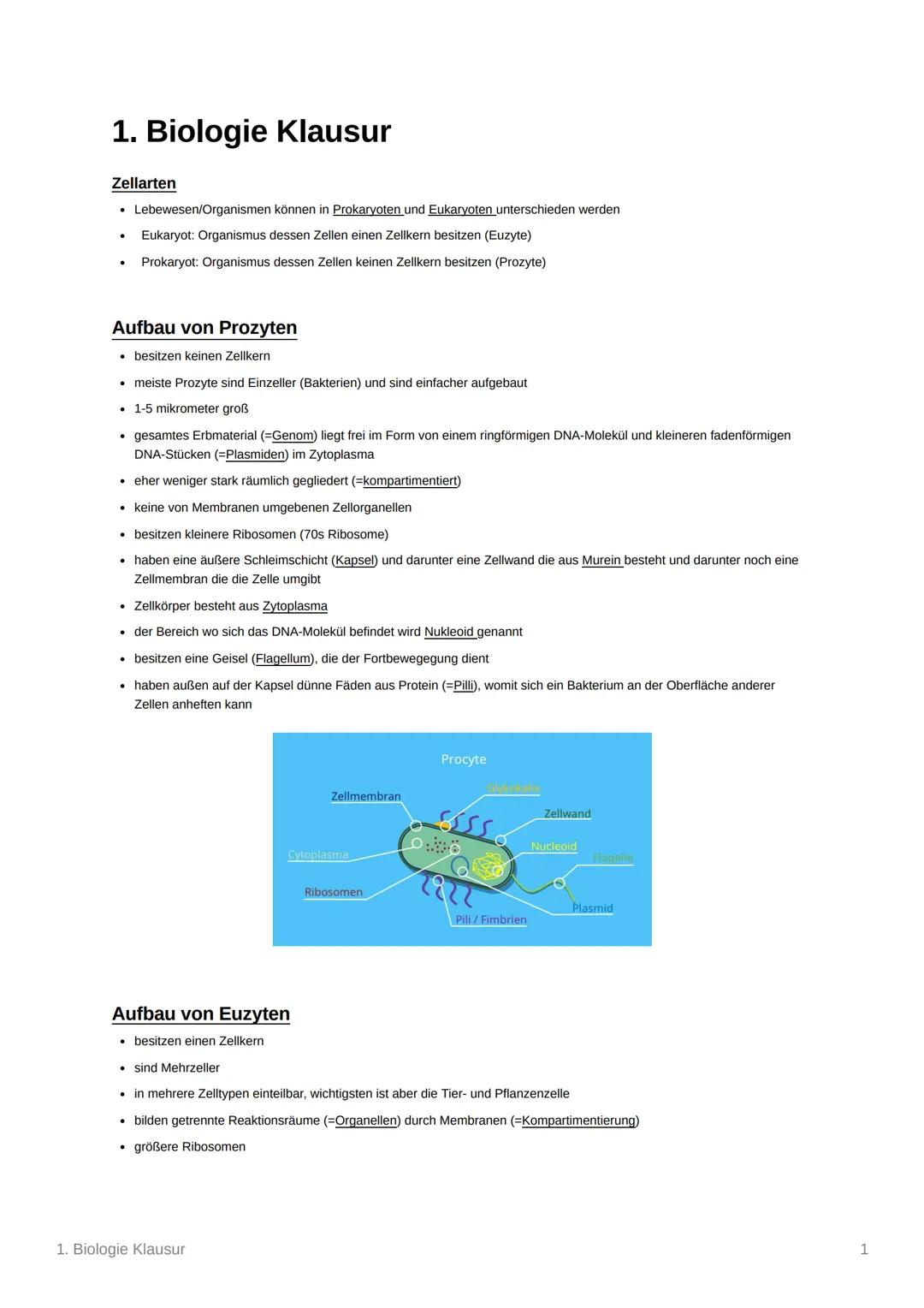 1. Biologie Klausur
Zellarten
• Lebewesen/Organismen können in Prokaryoten und Eukaryoten unterschieden werden
Eukaryot: Organismus dessen Z