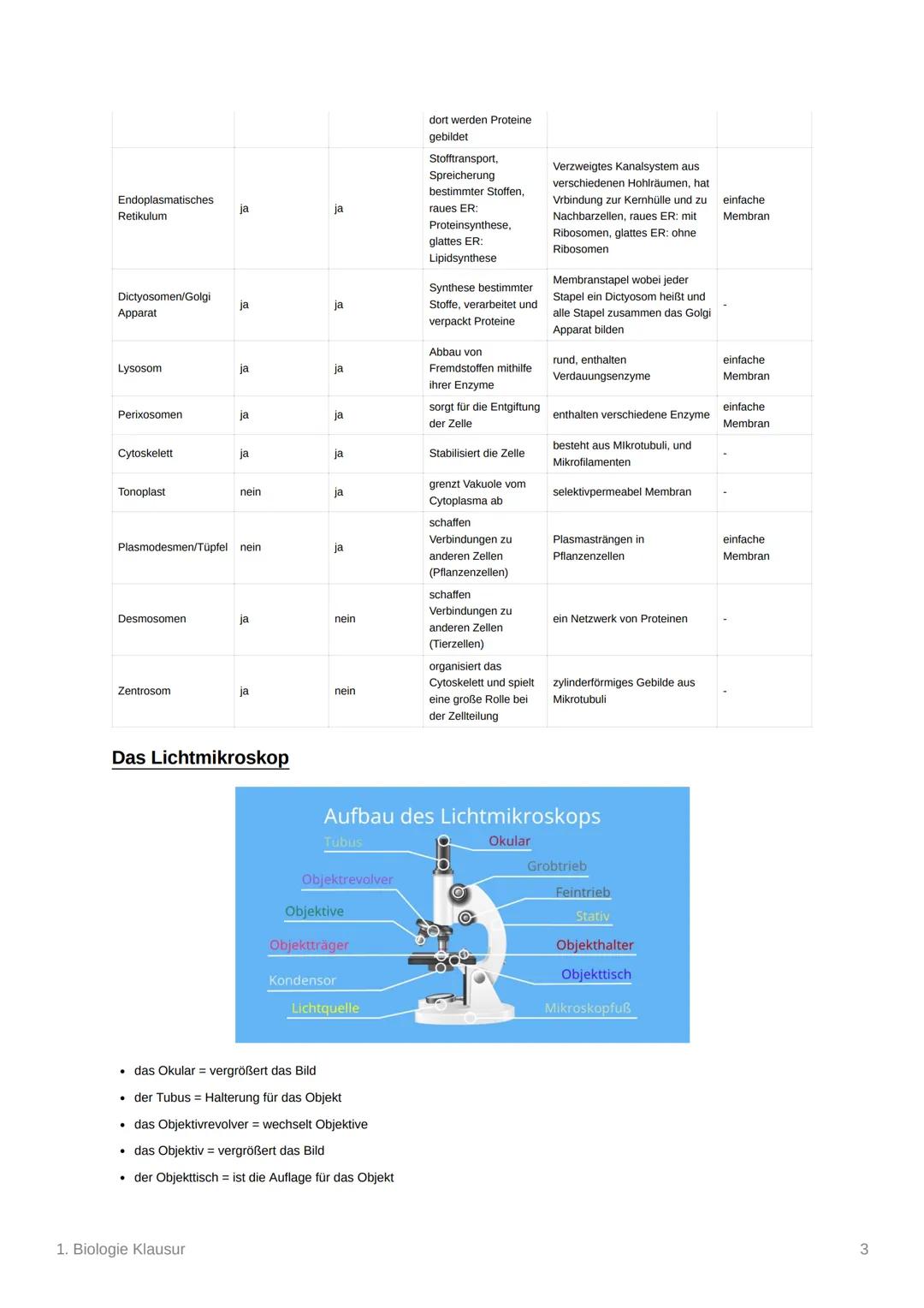 1. Biologie Klausur
Zellarten
• Lebewesen/Organismen können in Prokaryoten und Eukaryoten unterschieden werden
Eukaryot: Organismus dessen Z