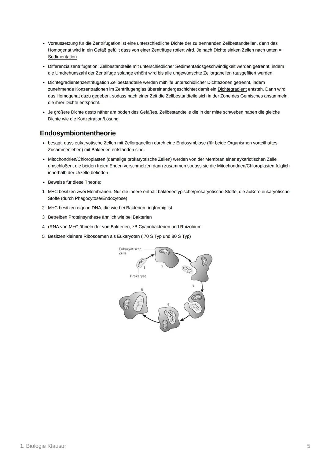 1. Biologie Klausur
Zellarten
• Lebewesen/Organismen können in Prokaryoten und Eukaryoten unterschieden werden
Eukaryot: Organismus dessen Z
