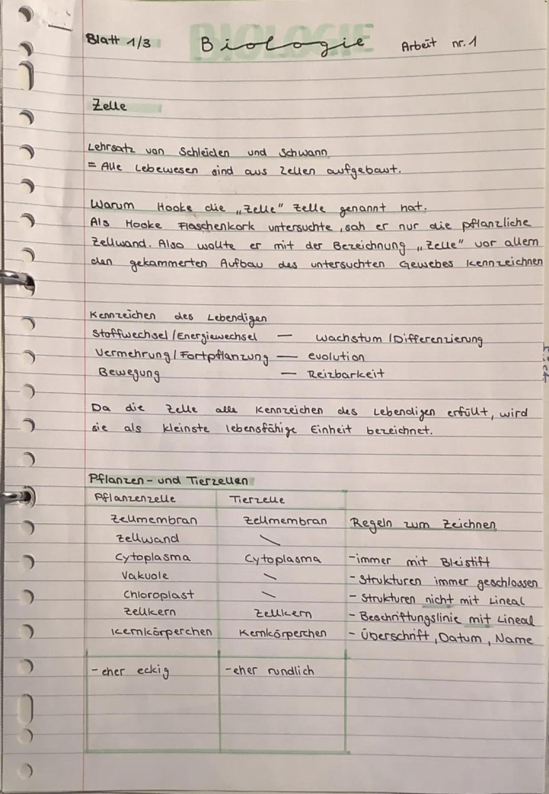 Tierzelle und Pflanzenzelle Vergleich Arbeitsblatt und Mikroskop Funktion