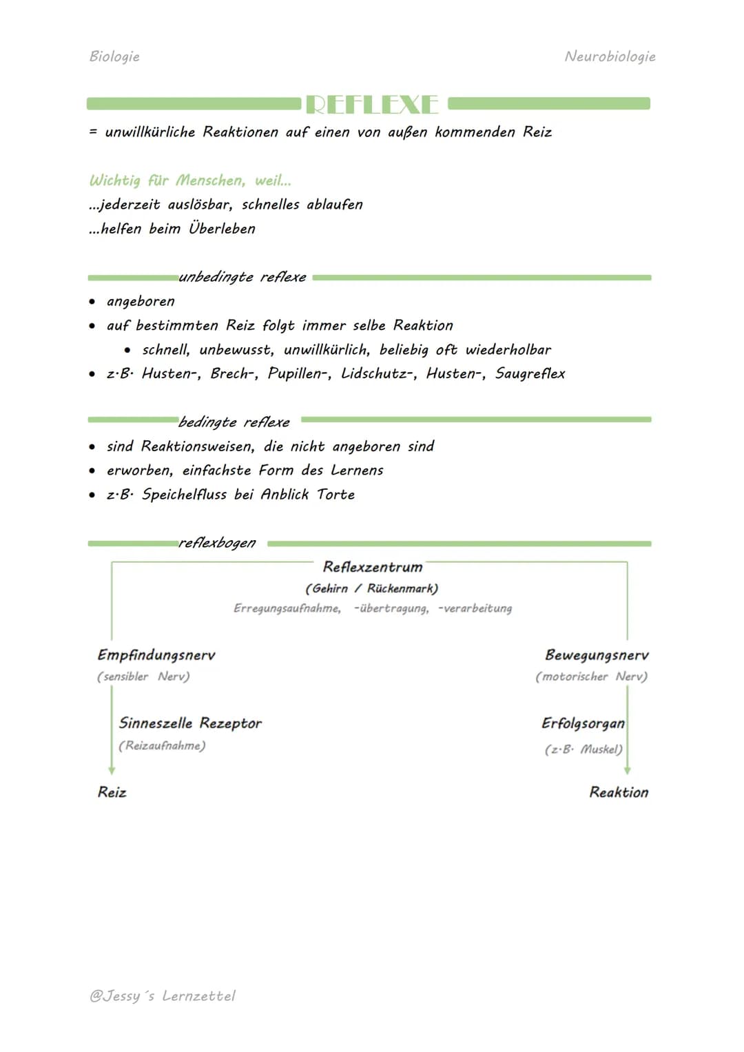 Biologie
'REFLEXE
= unwillkürliche Reaktionen auf einen von außen kommenden Reiz
Wichtig für Menschen, weil...
...jederzeit auslösbar, schne