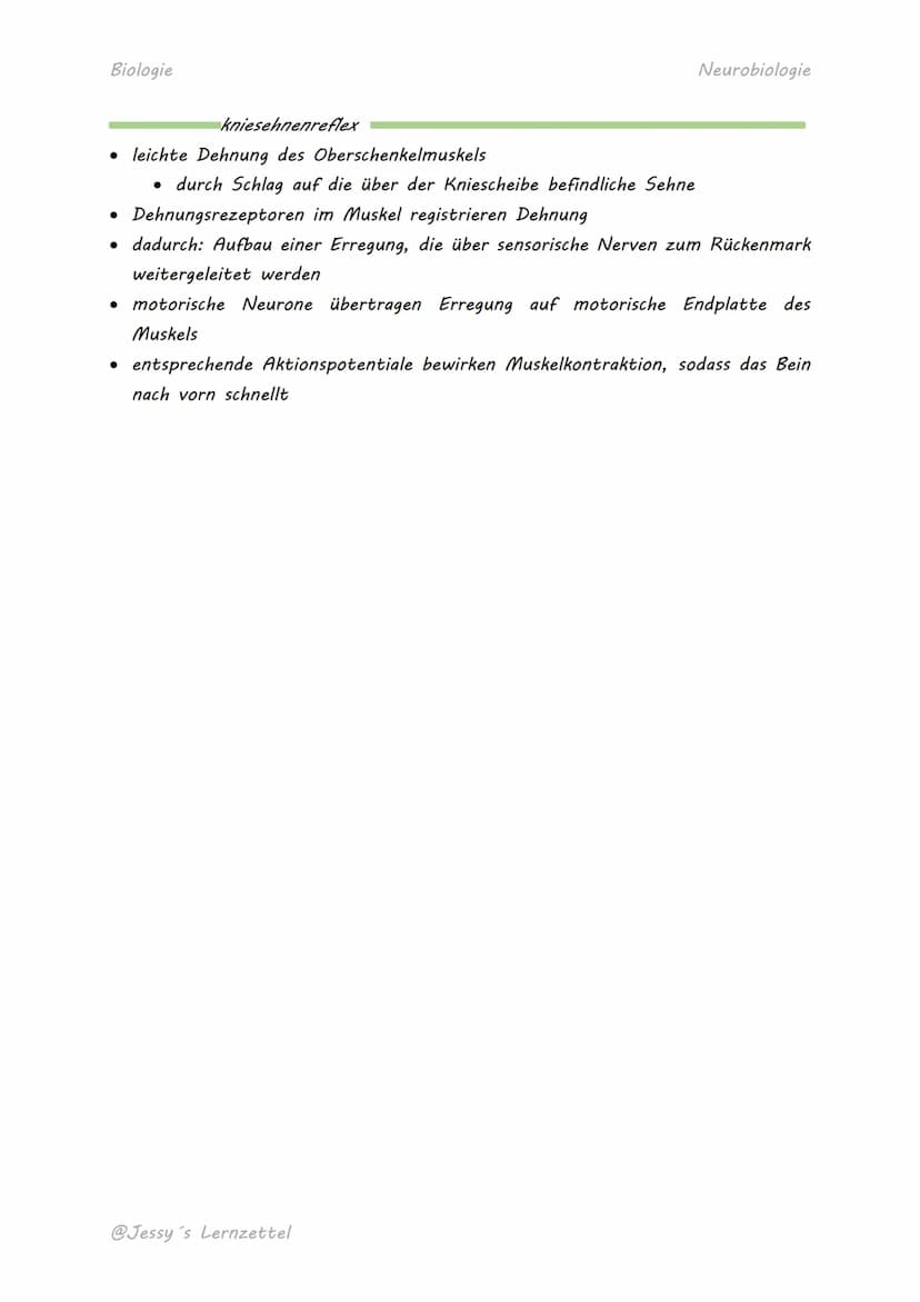 Biologie
'REFLEXE
= unwillkürliche Reaktionen auf einen von außen kommenden Reiz
Wichtig für Menschen, weil...
...jederzeit auslösbar, schne