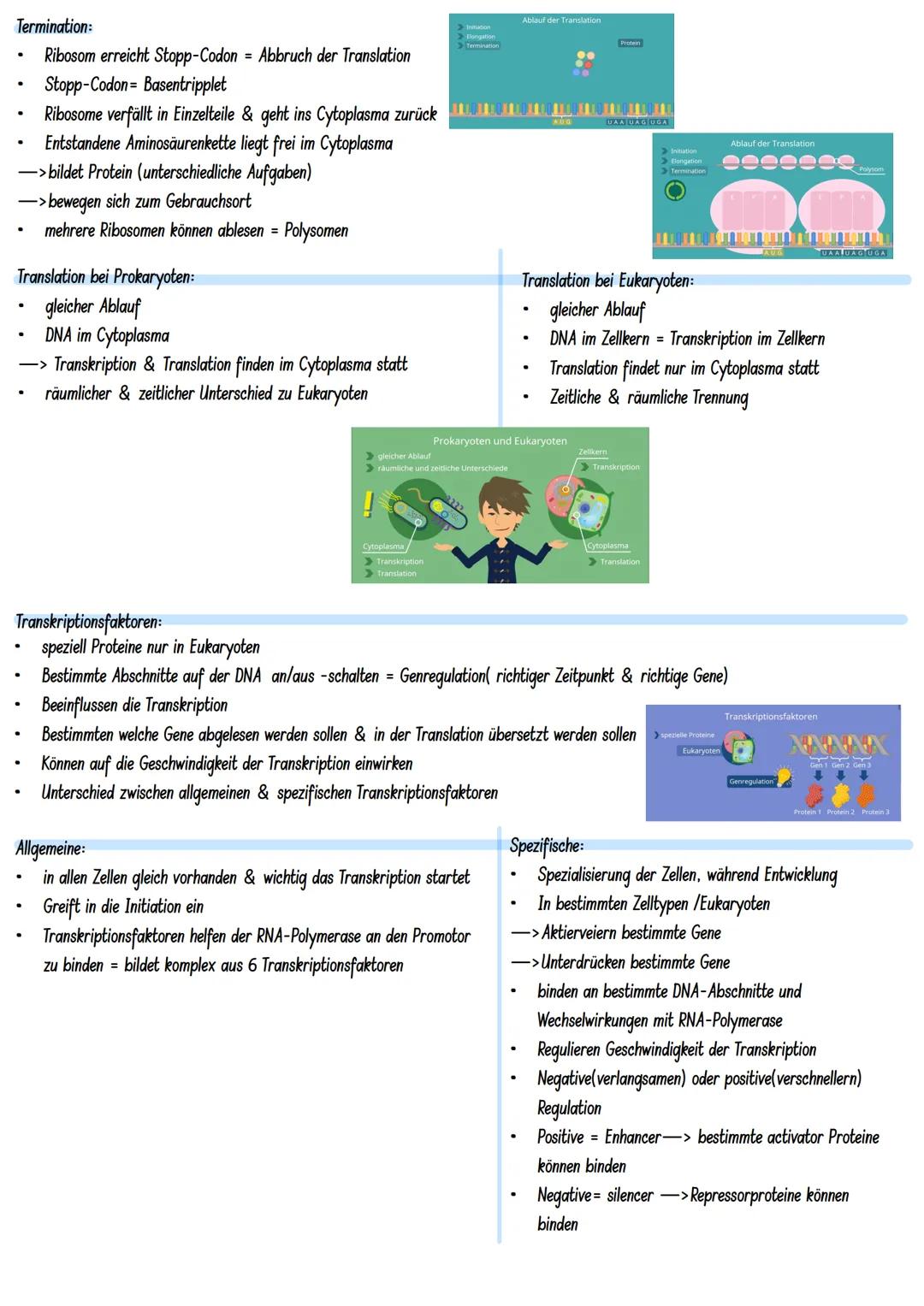 # LERNZETTEL

Molekulargenetik:
Gen: DNA-Abschnitt mit Information zur Bildung eines Proteins (~Bauanweisung)
Genom: gesamtes Erbgut

Aufbau
