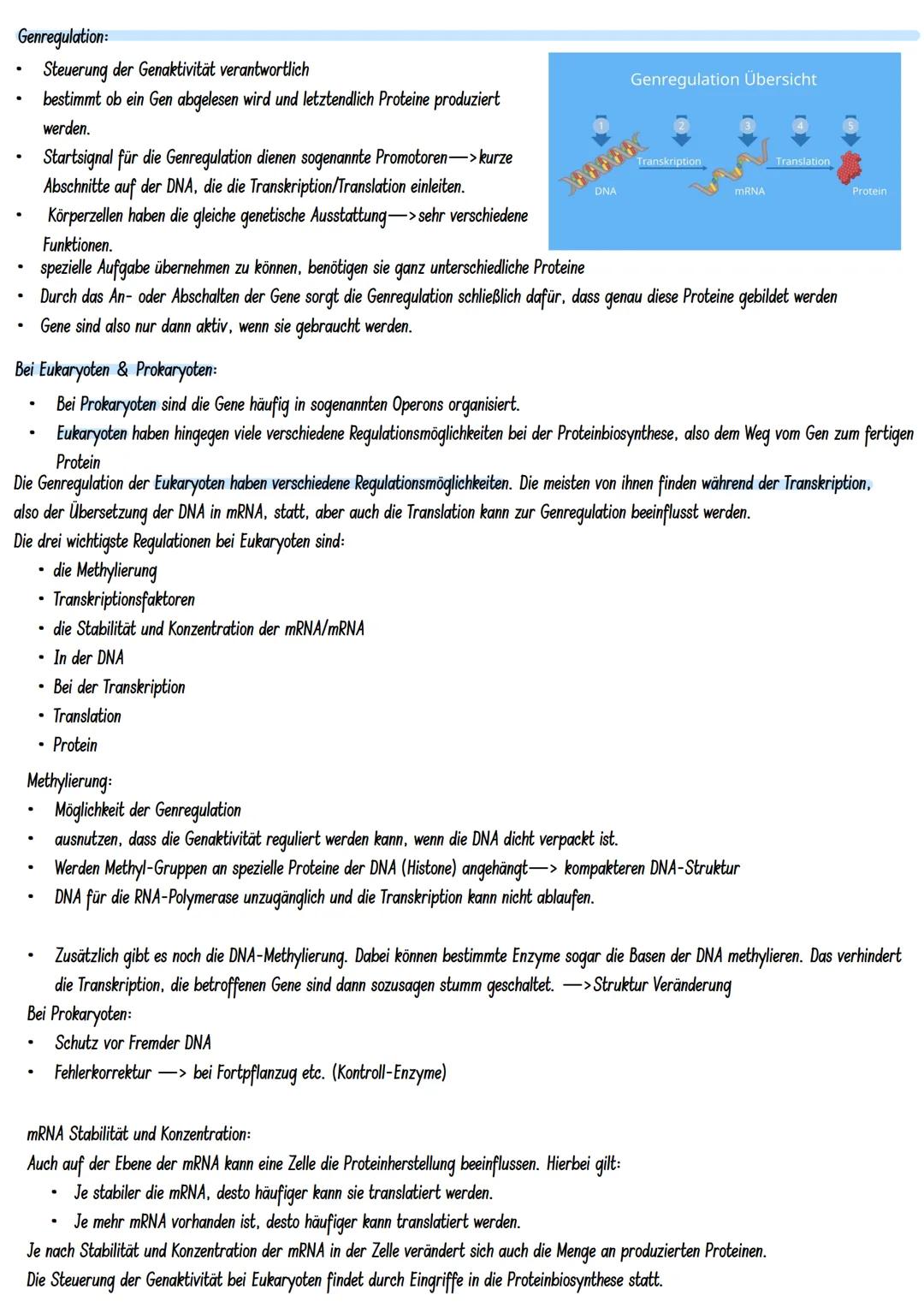 # LERNZETTEL

Molekulargenetik:
Gen: DNA-Abschnitt mit Information zur Bildung eines Proteins (~Bauanweisung)
Genom: gesamtes Erbgut

Aufbau