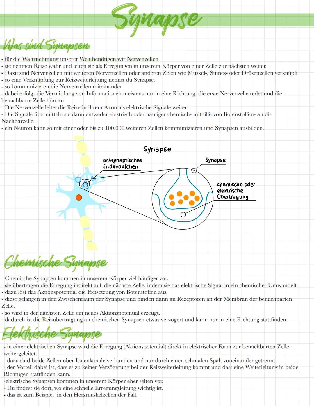 # Synapse

Was sind Synapsen

- für die Wahrnehmung unserer Welt benötigen wir Nervenzellen
- sie nehmen Reize wahr und leiten sie als Erreg