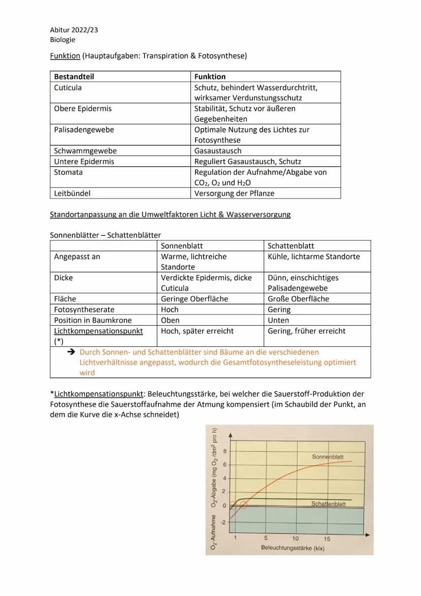 Abitur 2022/23
Biologie
LPE 5: Stoff- und Energiebereitstellung
Assimilation
Blatt als Organ der Fotosynthese
a. Bau und Funktion des Laubbl