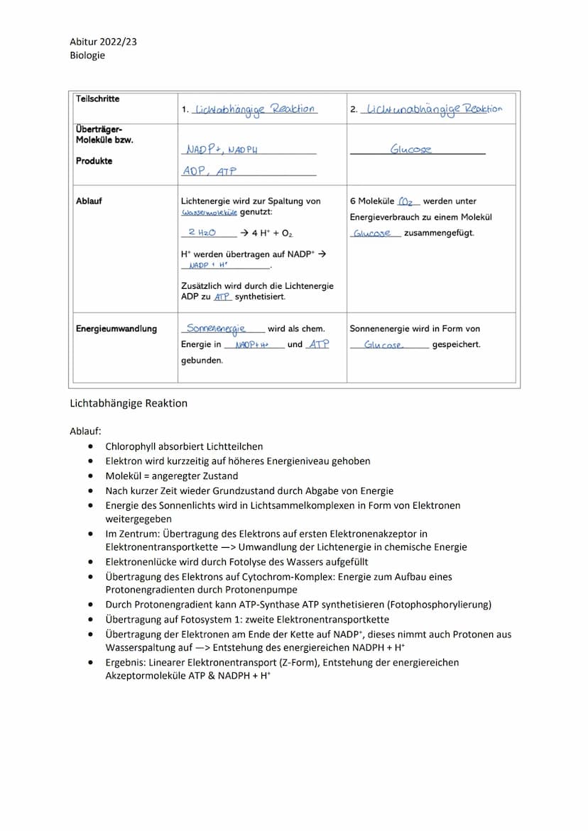 Abitur 2022/23
Biologie
LPE 5: Stoff- und Energiebereitstellung
Assimilation
Blatt als Organ der Fotosynthese
a. Bau und Funktion des Laubbl