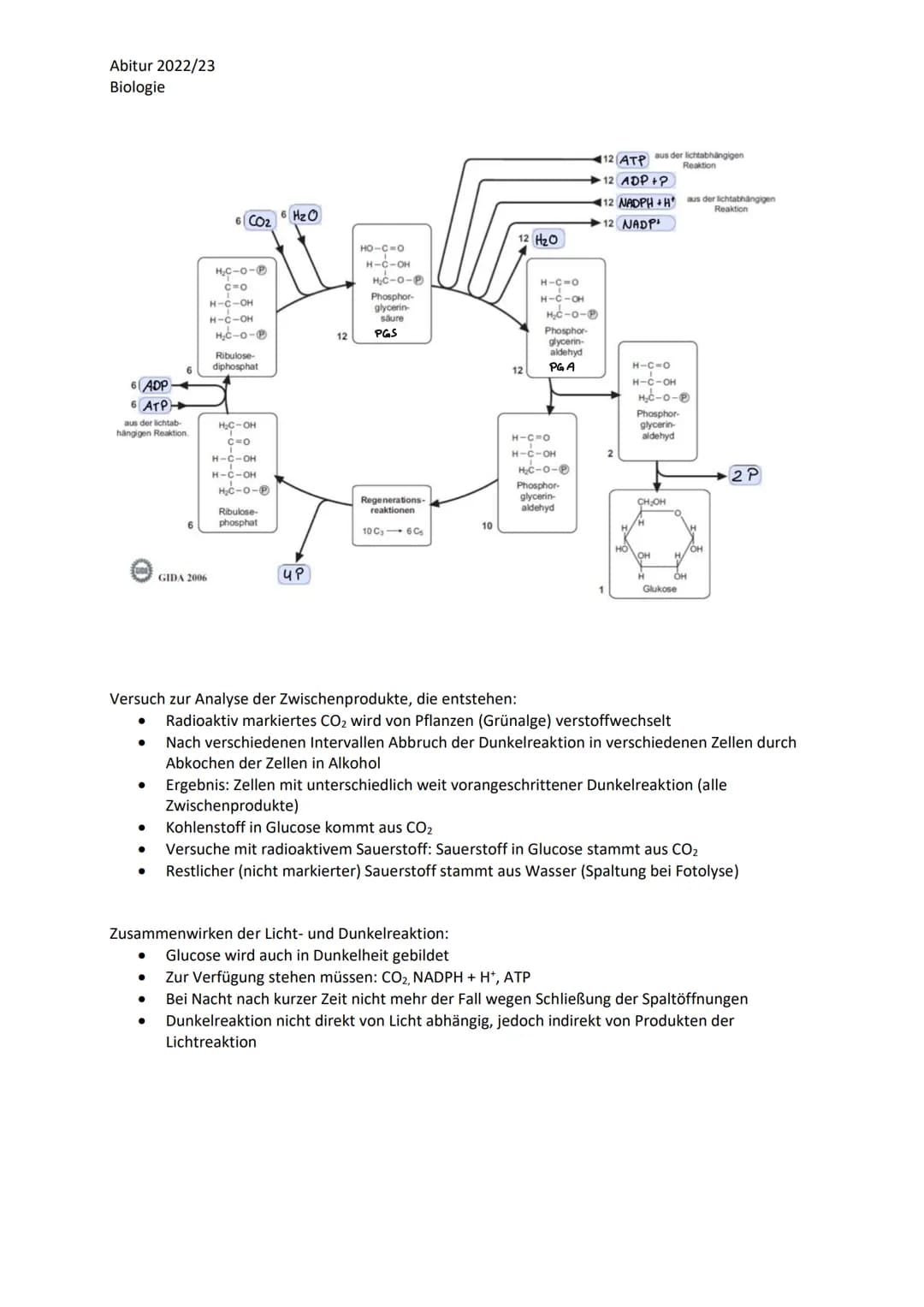 Abitur 2022/23
Biologie
LPE 5: Stoff- und Energiebereitstellung
Assimilation
Blatt als Organ der Fotosynthese
a. Bau und Funktion des Laubbl