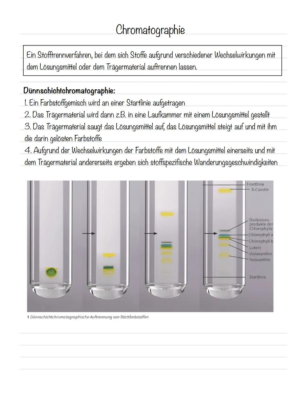  Bedeutung der Fotosynthese:
wichtigster biologisch-chemischer Prozess der Erde
Grundlagen
•Stellt für viele Organismen die Existenzgrundlag