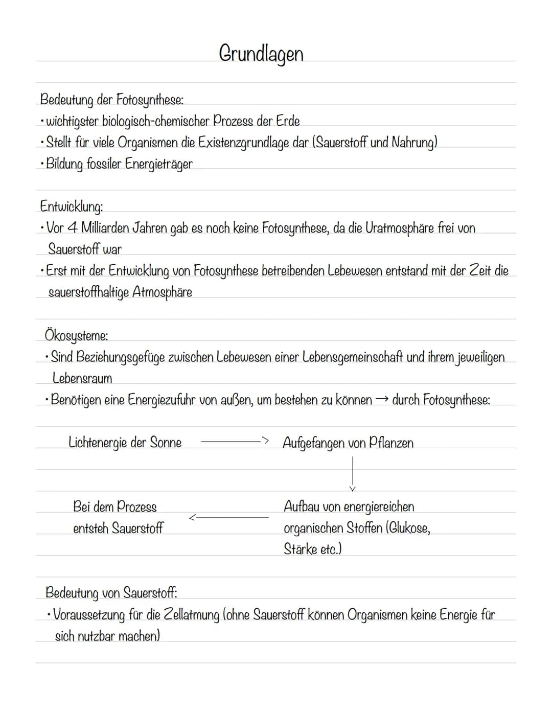  Bedeutung der Fotosynthese:
wichtigster biologisch-chemischer Prozess der Erde
Grundlagen
•Stellt für viele Organismen die Existenzgrundlag