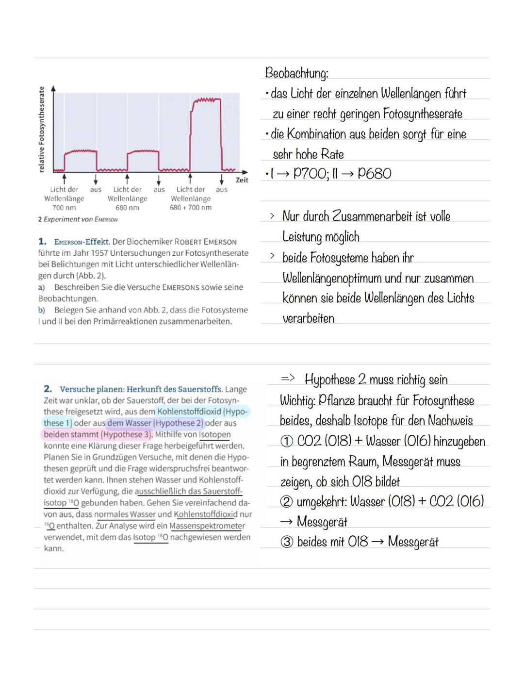  Bedeutung der Fotosynthese:
wichtigster biologisch-chemischer Prozess der Erde
Grundlagen
•Stellt für viele Organismen die Existenzgrundlag