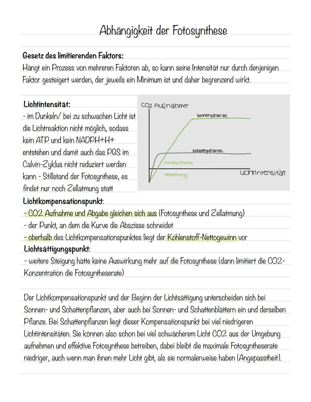  Bedeutung der Fotosynthese:
wichtigster biologisch-chemischer Prozess der Erde
Grundlagen
•Stellt für viele Organismen die Existenzgrundlag