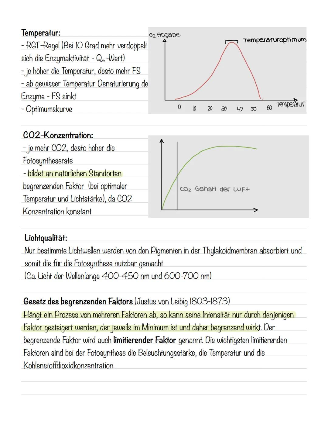  Bedeutung der Fotosynthese:
wichtigster biologisch-chemischer Prozess der Erde
Grundlagen
•Stellt für viele Organismen die Existenzgrundlag