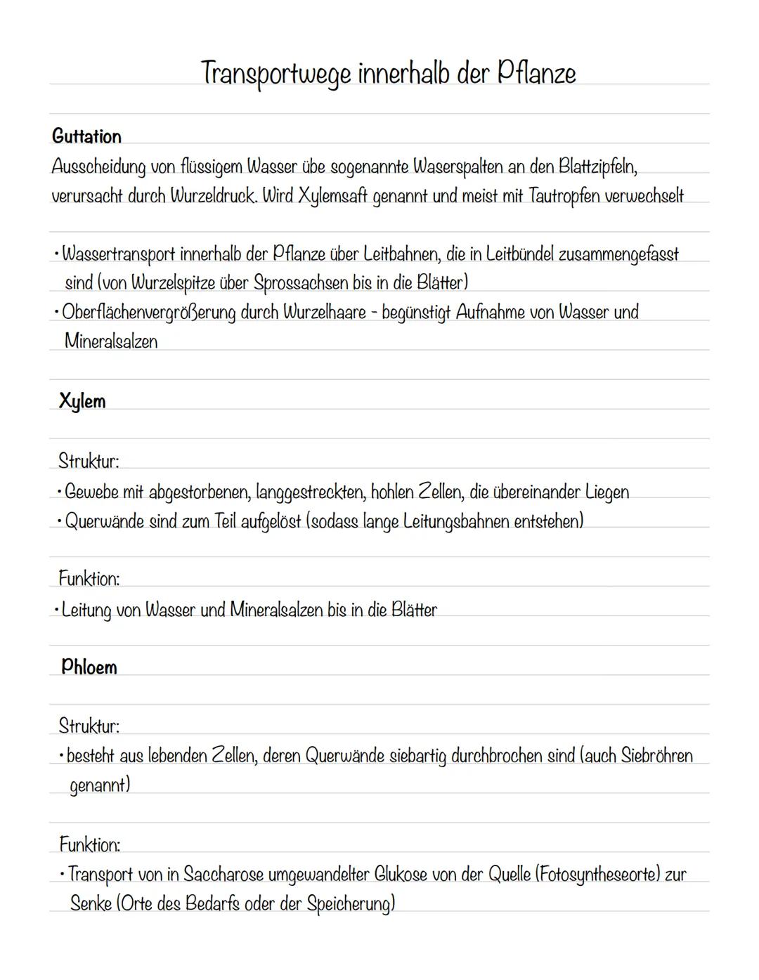  Bedeutung der Fotosynthese:
wichtigster biologisch-chemischer Prozess der Erde
Grundlagen
•Stellt für viele Organismen die Existenzgrundlag