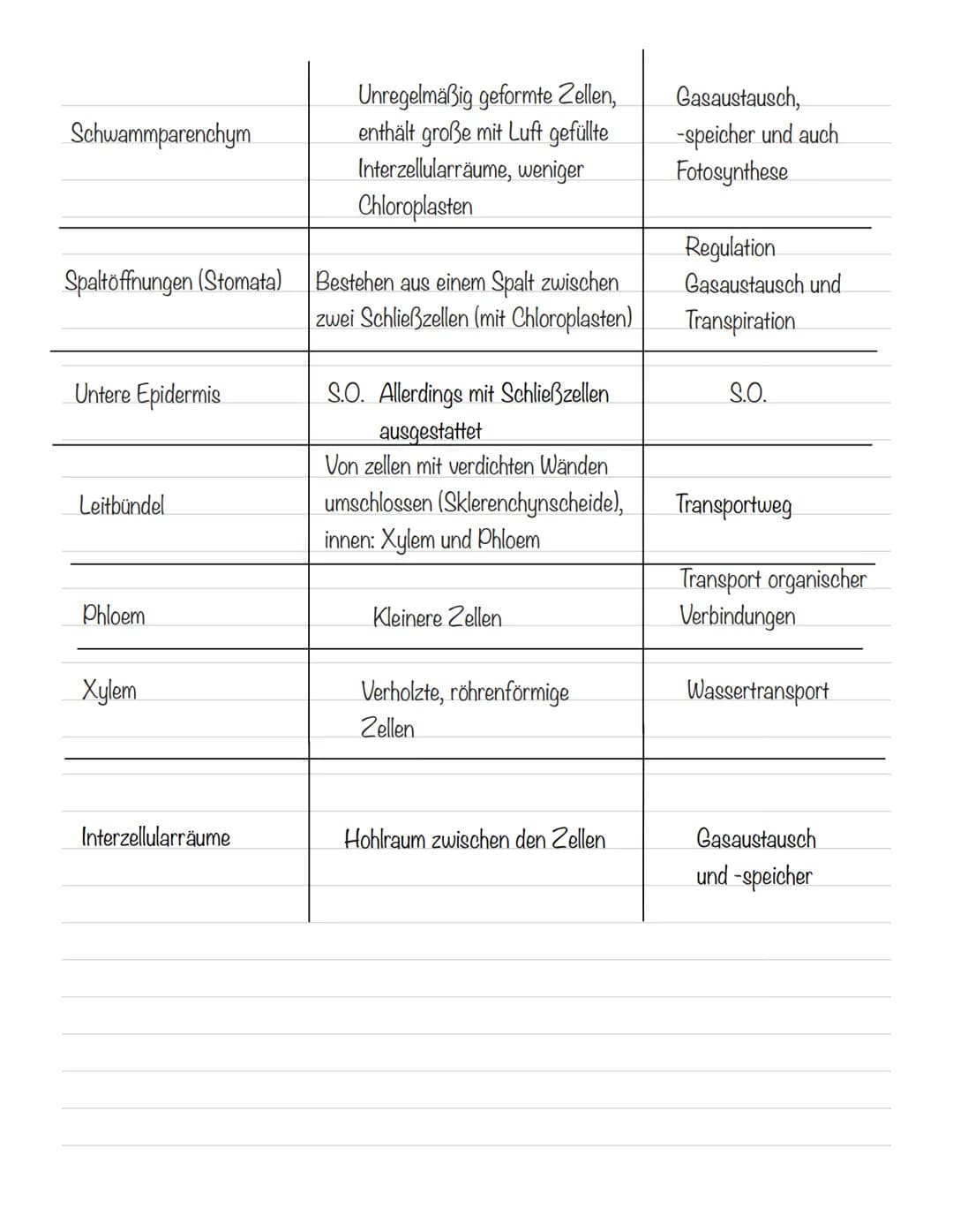  Bedeutung der Fotosynthese:
wichtigster biologisch-chemischer Prozess der Erde
Grundlagen
•Stellt für viele Organismen die Existenzgrundlag