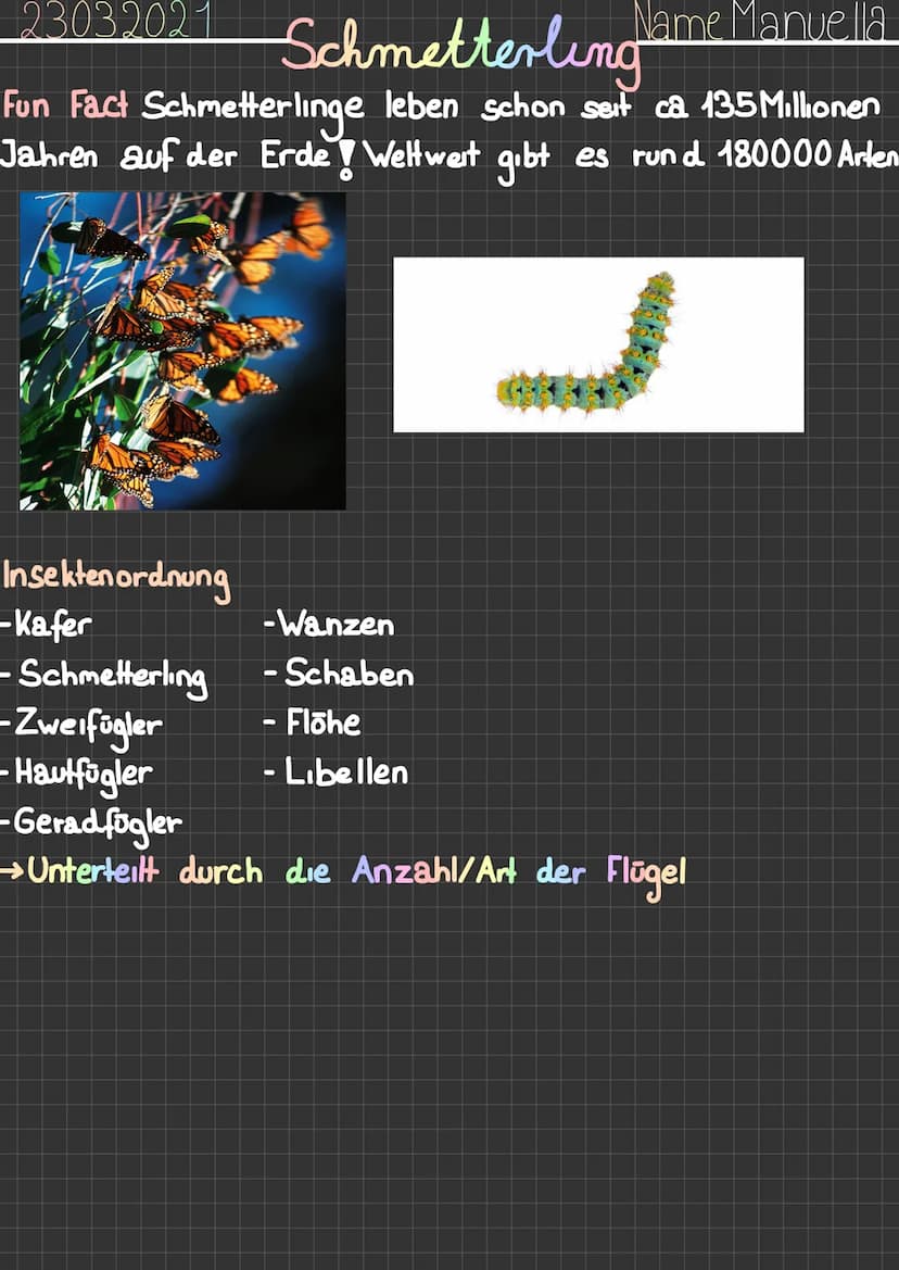  23.05.2021 Schmetterling
Name Schmetterling
Weitere Namen Falter
Klasse Insekt
Große 3-11cm
Gewicht 150mg-5g
Alter bis zu einem Jahr
Ausseh