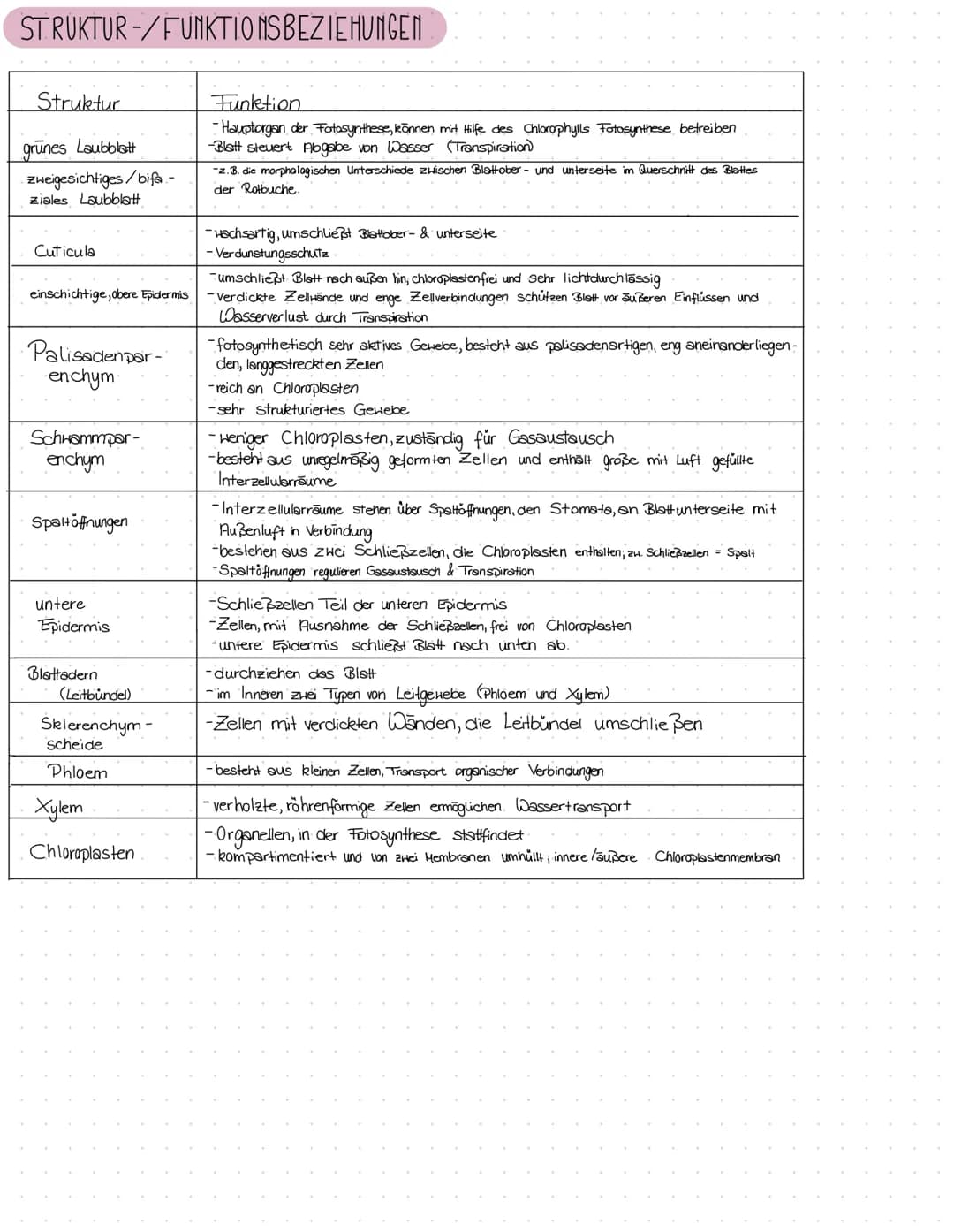 Fotosynthese
Q 12.2 ✓ Lervizettel Fotosynthese
✓ Blattaufbau
✓ Stowata
✓ Struktur/Funktion
✓
Transportmechanismen
✓Souven-/Schattenblatt
Dig