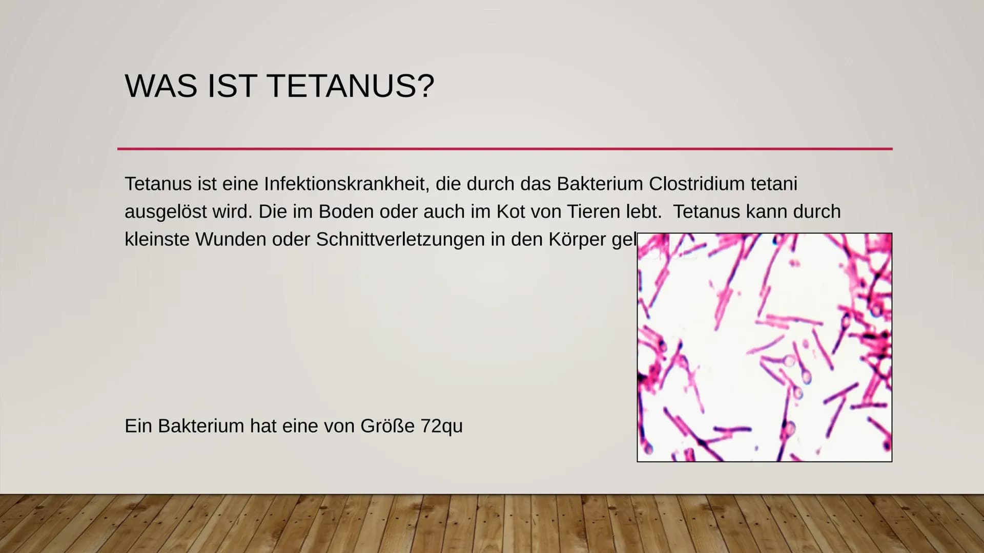 TETANUS ÜBERBLICK
●
●
●
●
●
Was ist Tetanus?
Wie kann man sich mit Tetanus infizieren?
Was sind die Symptome von Tetanus?
Wie kann man sich 