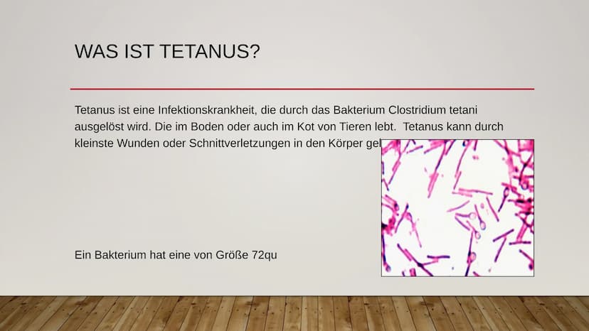 TETANUS ÜBERBLICK
●
●
●
●
●
Was ist Tetanus?
Wie kann man sich mit Tetanus infizieren?
Was sind die Symptome von Tetanus?
Wie kann man sich 