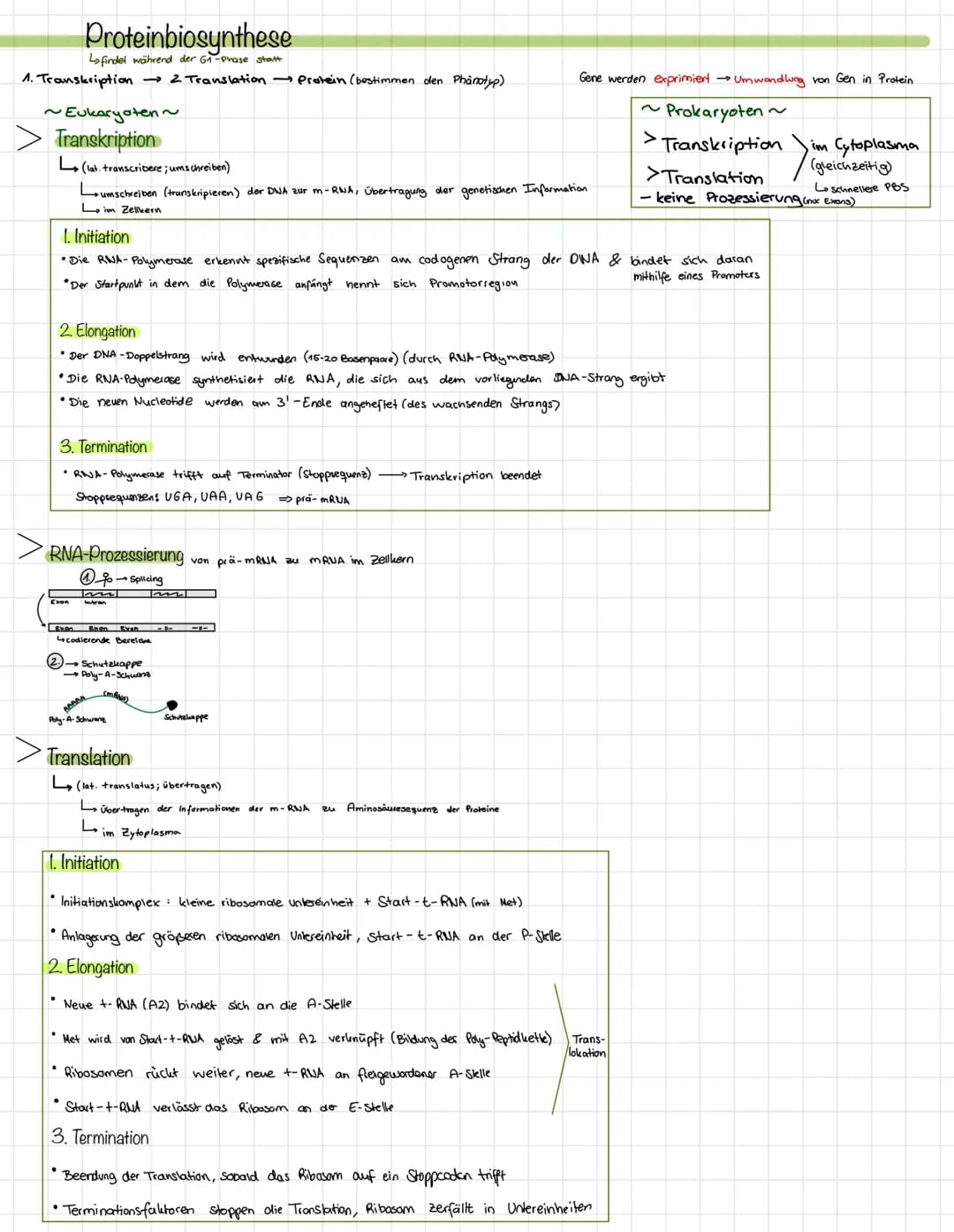 Themen:
DNA, RNA, Replikation, Genetischer Fingerabdruck PCR/ Gelelktrophorese, Genetischer Code, Beadle und
Tatum, Proteinbiosynthese
Zucke