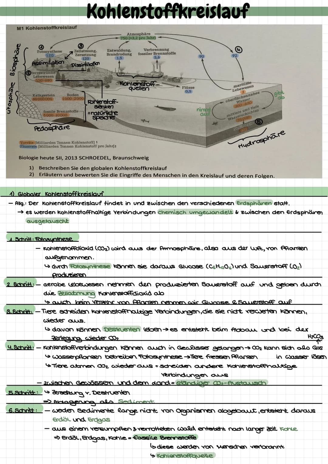 M1 Kohlenstoffkreislauf
utosphäre Biosphäre
4
Fotosynthese
120
Assimilation
2 terrestrische
Lebewesen
550-680
Kalkgestein
60 000 000
Pedasph