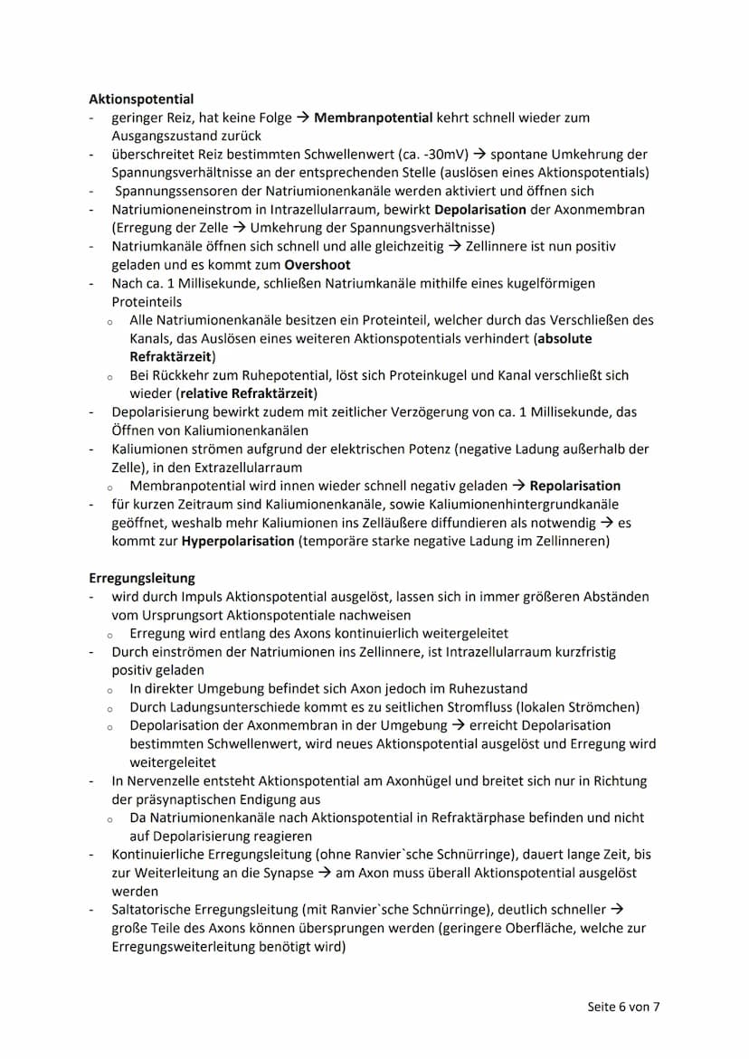 Biologie Lernzettel - VorAbi
Humanevolution
Hypothesen zur Entstehung des heutigen Menschen
Zwei populäre Hypothesen
Beide Theorien, beziehe