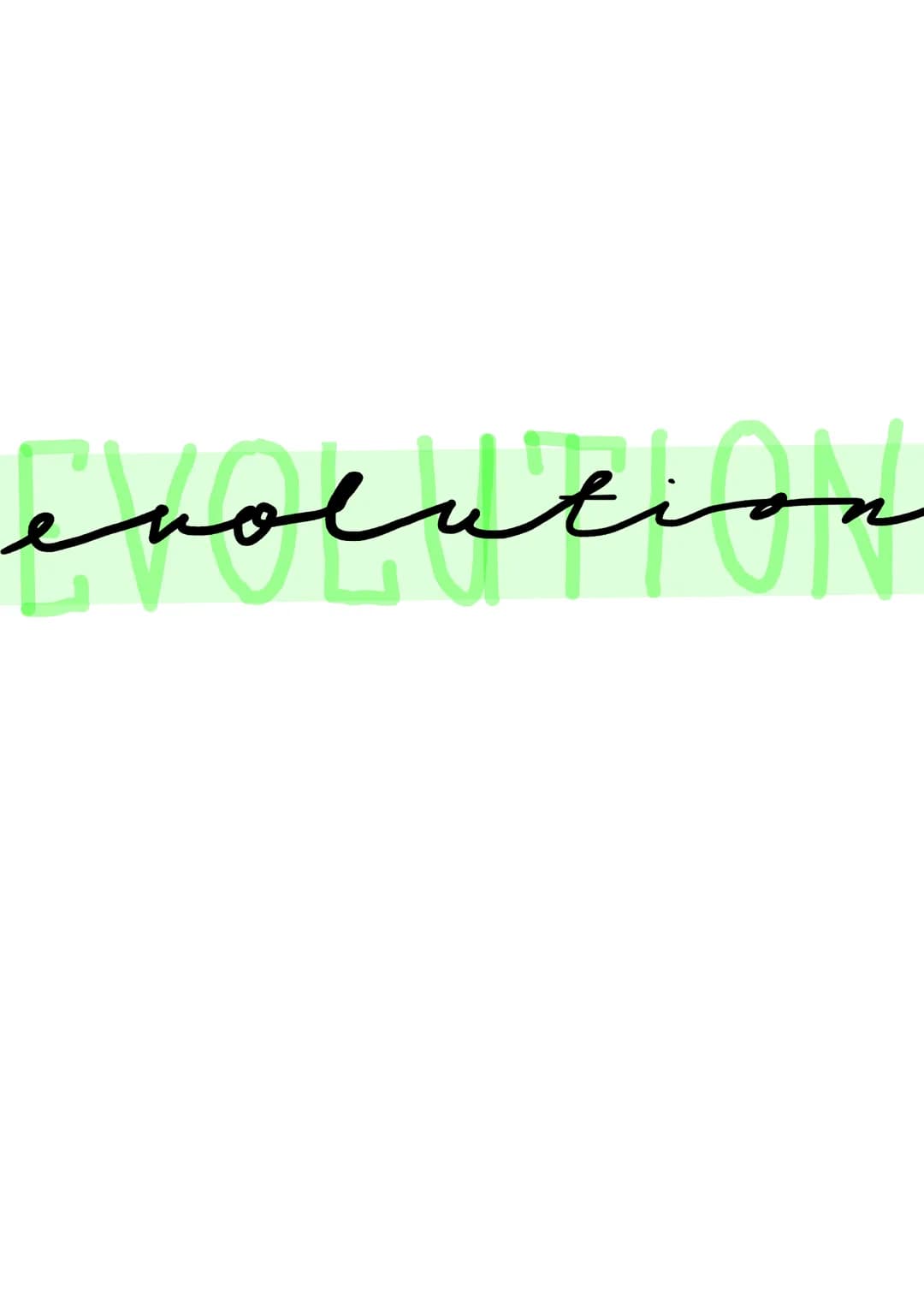 evolution Evolution
Hierarchische Einteilung der Organismen:
Stamm/Abteilung: Chordatiere
Unterstamm/-abteilung: Wirbeltiere
Klasse: Säugeti
