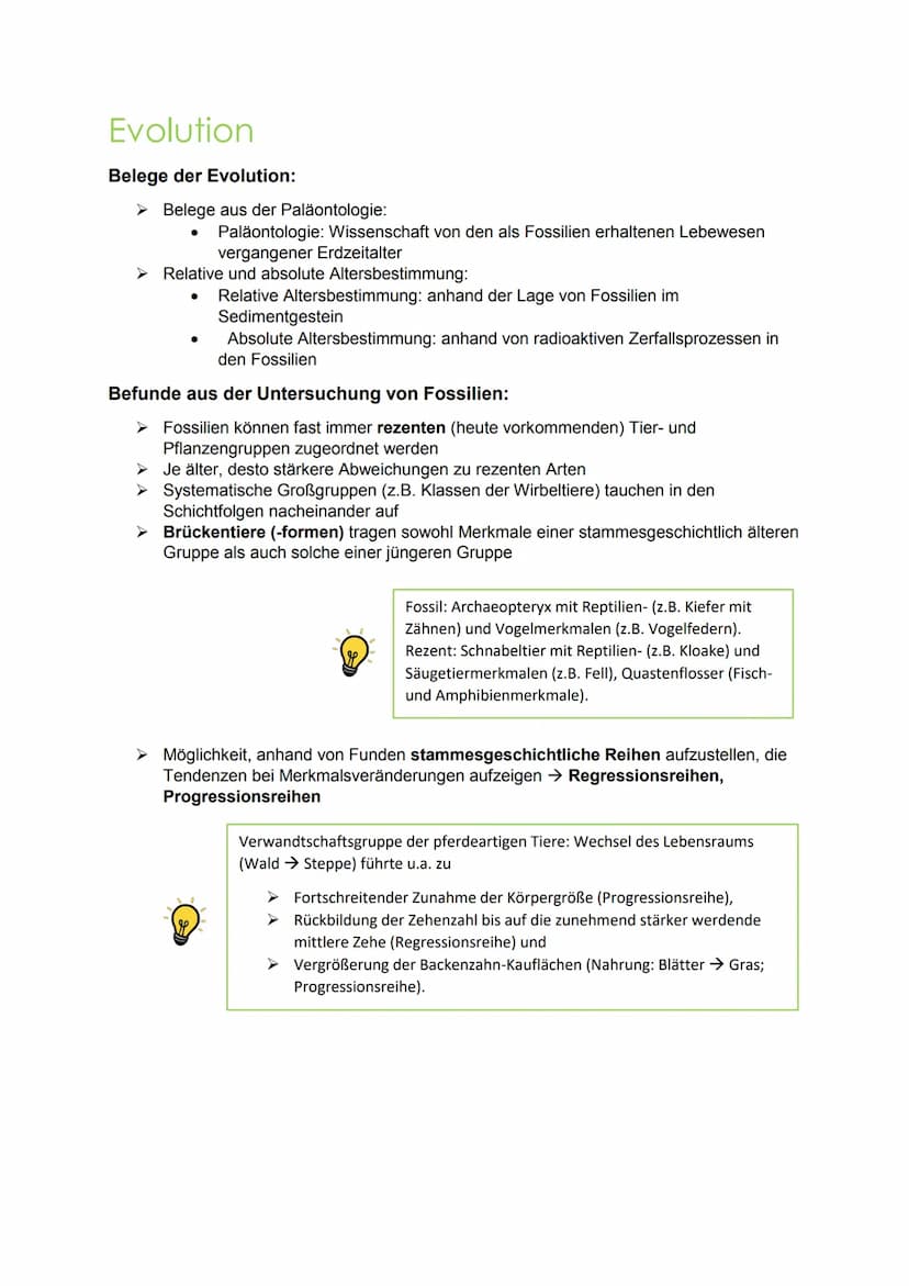 evolution Evolution
Hierarchische Einteilung der Organismen:
Stamm/Abteilung: Chordatiere
Unterstamm/-abteilung: Wirbeltiere
Klasse: Säugeti