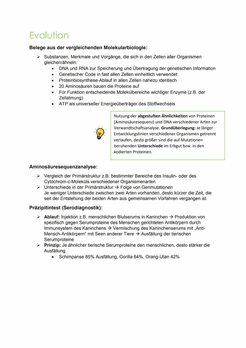 evolution Evolution
Hierarchische Einteilung der Organismen:
Stamm/Abteilung: Chordatiere
Unterstamm/-abteilung: Wirbeltiere
Klasse: Säugeti