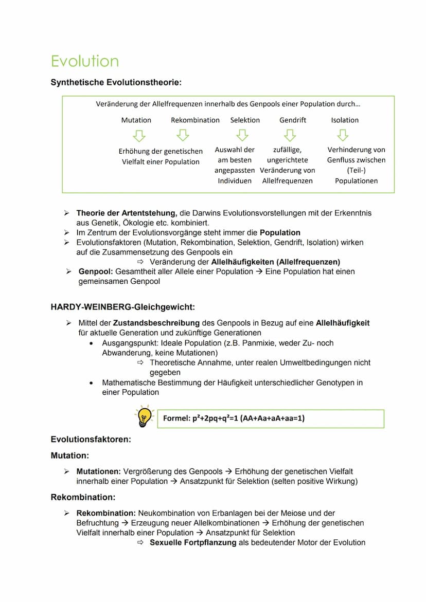 evolution Evolution
Hierarchische Einteilung der Organismen:
Stamm/Abteilung: Chordatiere
Unterstamm/-abteilung: Wirbeltiere
Klasse: Säugeti