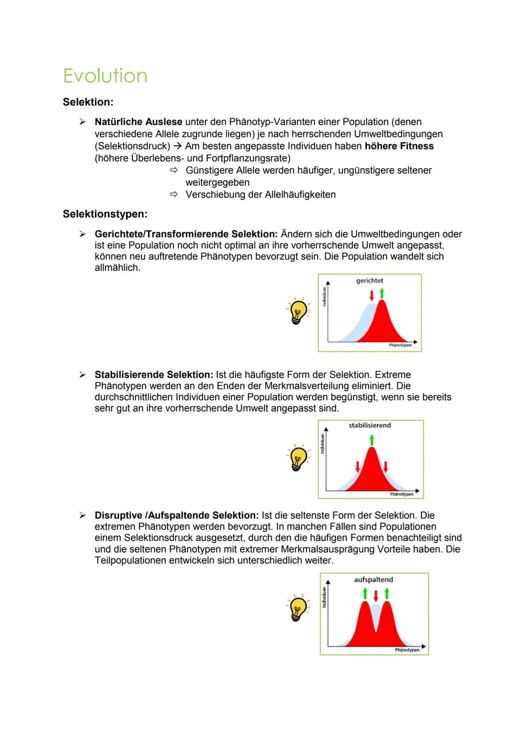 evolution Evolution
Hierarchische Einteilung der Organismen:
Stamm/Abteilung: Chordatiere
Unterstamm/-abteilung: Wirbeltiere
Klasse: Säugeti