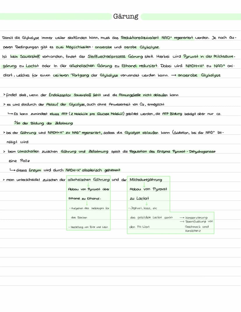Glykolyse
Ort: Cytoplasma
Ablauf: Abbau von einem Glukosemolekül (Co)
zu zwei Pyruvat molekülen (C3)
> Einteilung in Energieaufwendungs- und