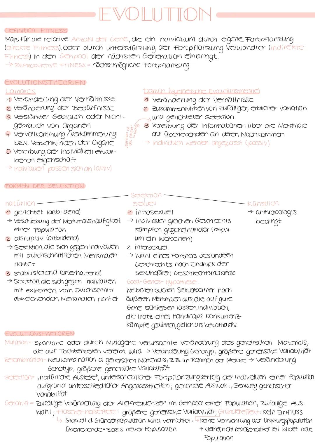 # EVOLUTION

Definition FITNESS

Maß für die relative Anzahl der Gere, die ein Individuum durch eigene Fortpflanzung
(airekte Fitness), oder
