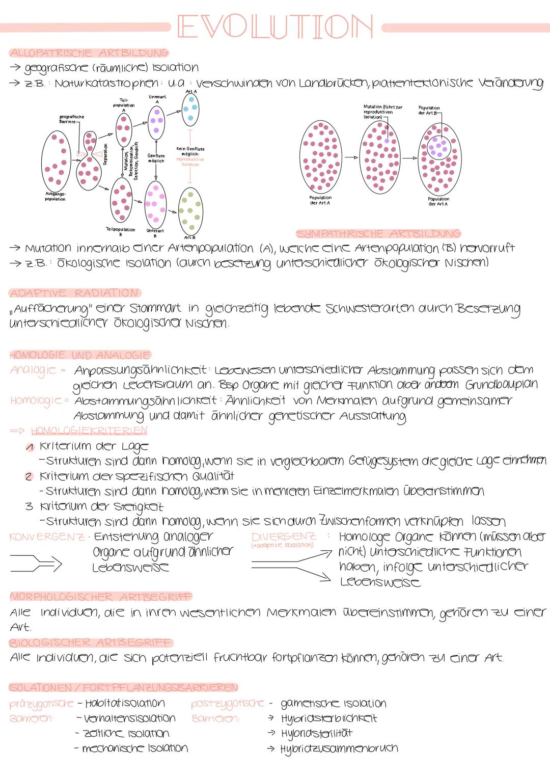 # EVOLUTION

Definition FITNESS

Maß für die relative Anzahl der Gere, die ein Individuum durch eigene Fortpflanzung
(airekte Fitness), oder