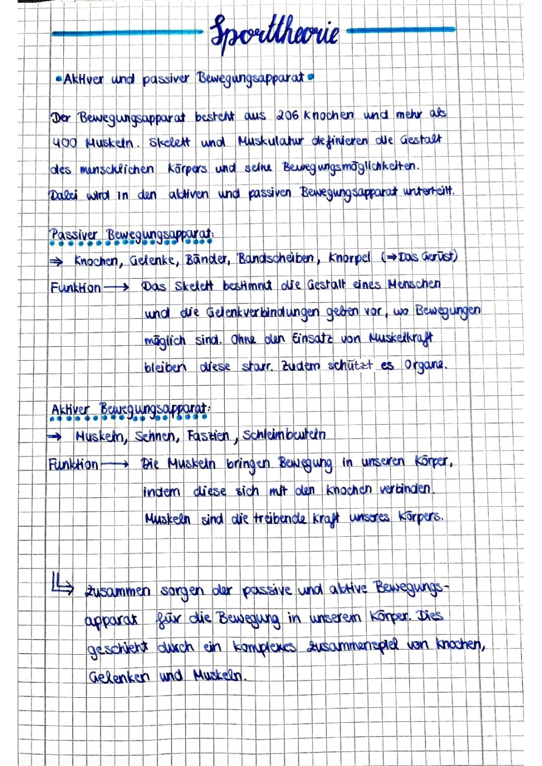 Aktiver und passiver Bewegungsapparat 