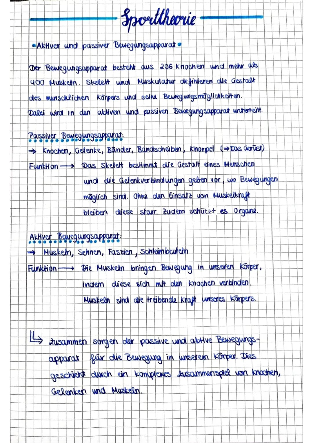 Sporttheorie
•Aktiver und passiver Bewegungsapparat
Der Bewegungsapparat besteht aus 206 Knochen und mehr als
400 Muskeln. Skolett und Musku
