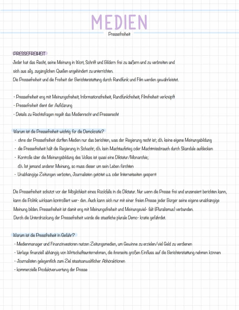 MEDIENDEMOKRATIE
Ein demokratischer Staat, in dem Medien politische Kommunikationskanäle sind und
eine bedeutende Rolle für die Meinungsbild