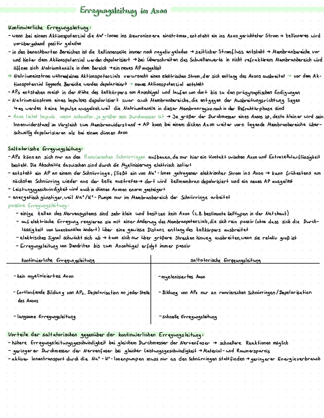 Dendriten
Zellkörper
Axonhügel
Axon
Myelinscheide
-ranviersche Schmurringe
Bau und Funktion von Nervenzellen
Zellkörper: enthält den Zellker