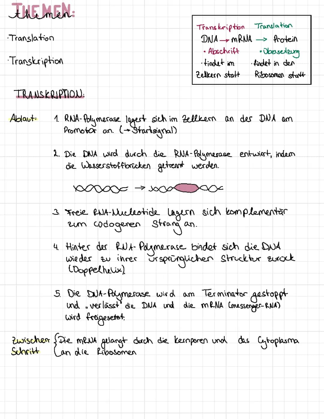 Translation und Transkription
