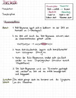 Know Translation und Transkription thumbnail