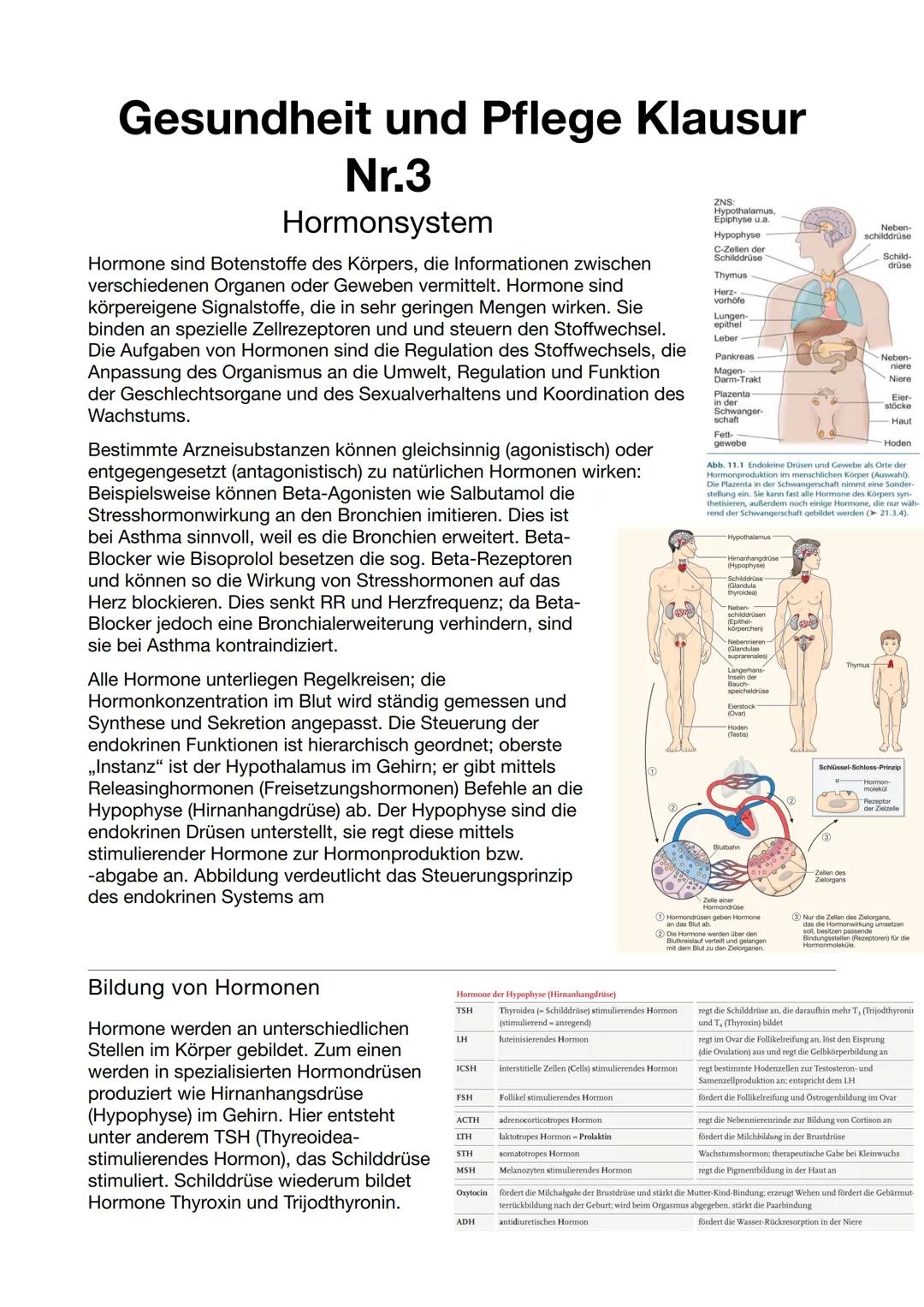 # Gesundheit und Pflege Klausur

# Nr.3

# Hormonsystem

Hormone sind Botenstoffe des Körpers, die Informationen zwischen
verschiedenen Orga